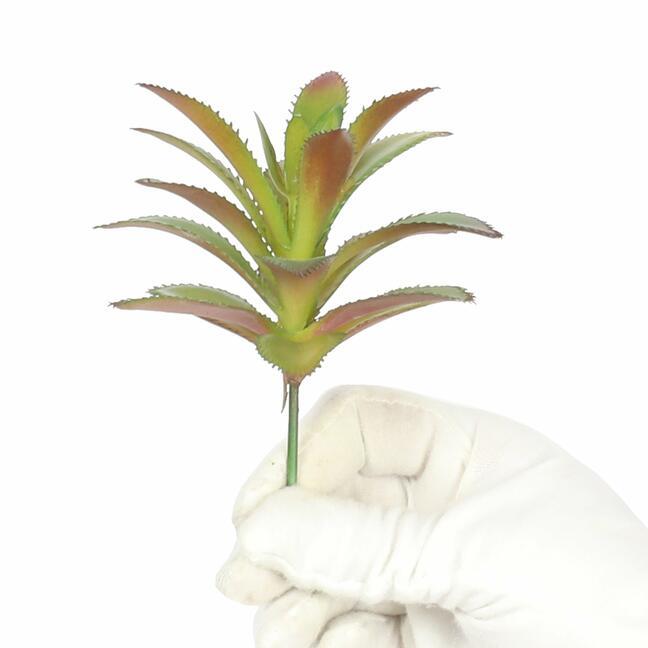 Aeonium Arboreum suculento artificial 14 cm