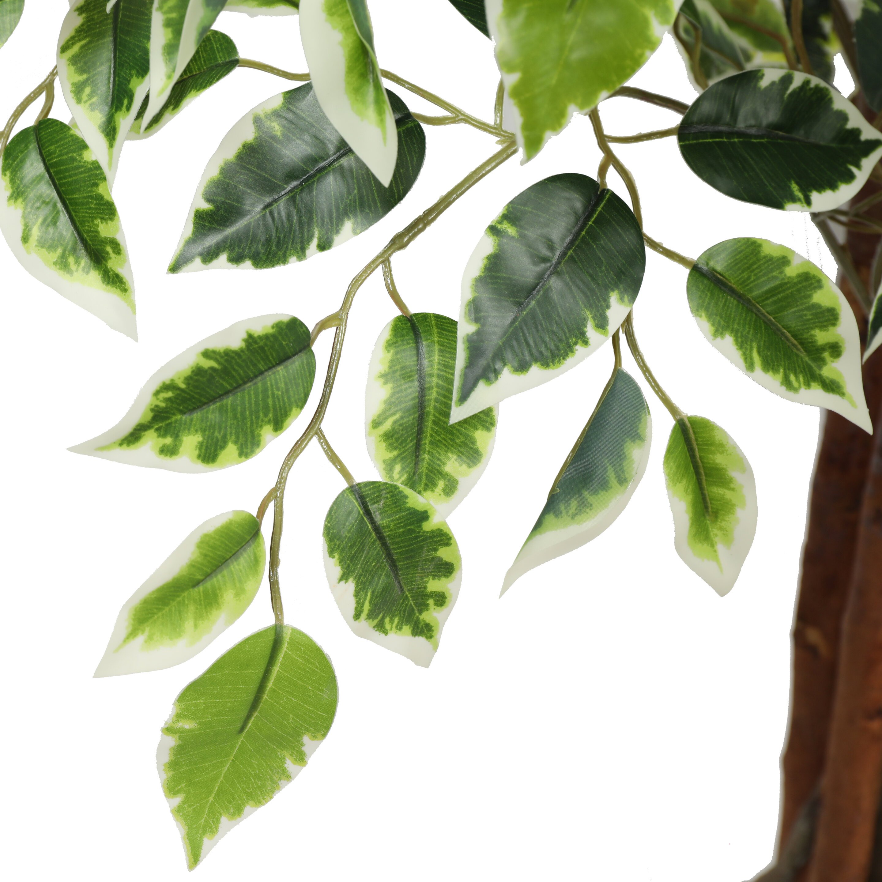 Planta Artificial Ficus Benjamina 180 cm. Premium 1.260 hojas – Arbusto Real