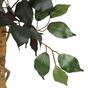 Árbol artificial Ficus Benjamin burdeos 170 cm