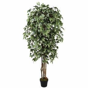 Árbol artificial Ficus Benjamin blanco-<br/>verde 170 cm