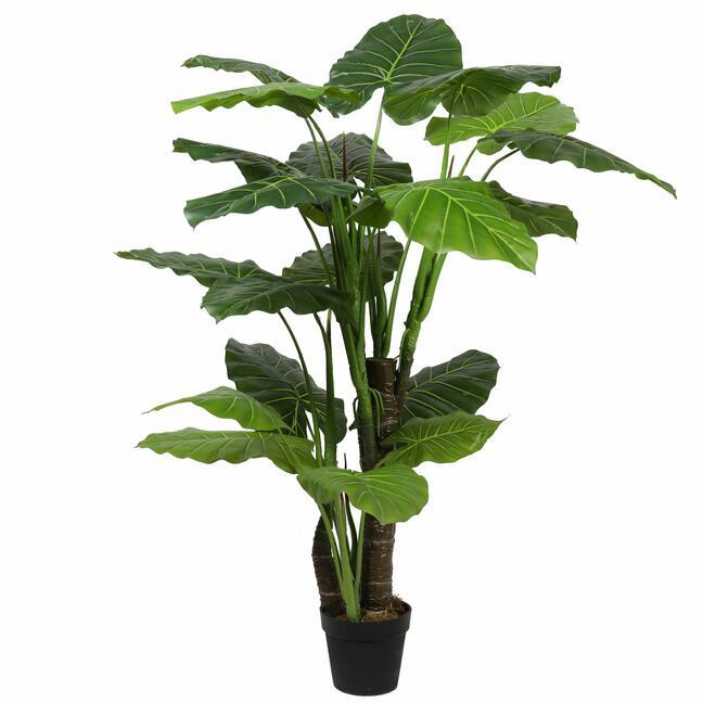 Árbol de Colocasia artificial verde 150 cm