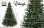 Árbol de Navidad artificial Abeto Nobilis Oxburgh 210 cm