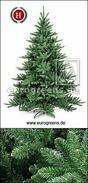 Árbol de Navidad artificial Luvi Warwick 240 cm