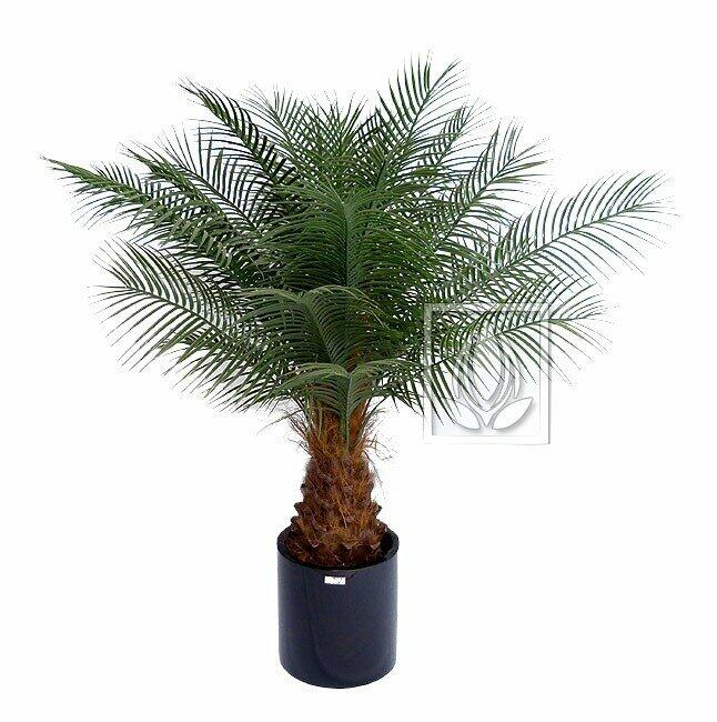 Dátil de palma artificial 170 cm