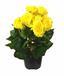 Planta artificial Begonia amarilla 25 cm