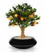 Bonsai artificial Limón naranja 65 cm