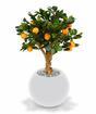 Bonsai artificial Limón naranja 65 cm