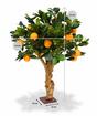 Bonsai artificial Limón naranja 65 cm