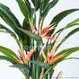 Brote de plantas artificiales floreciendo 120 cm