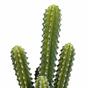 Cactus artificial 52 cm