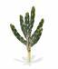 Cactus artificial Tetragonus 35 cm