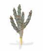 Cactus artificial Tetragonus Marrón 35 cm