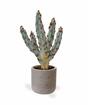 Cactus artificial Tetragonus Marrón 35 cm