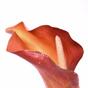 Flor artificial Calla orange 55 cm