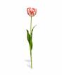 Flor artificial Tulipán rojo-blanco 70 cm