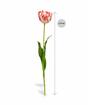 Flor artificial Tulipán rojo-blanco 70 cm