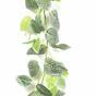 Guirnalda artificial Fitónia 190 cm