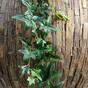 Guirnalda artificial Ivy 180 cm