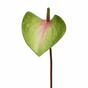 Hoja artificial Anthurium rosa-verde 50 cm