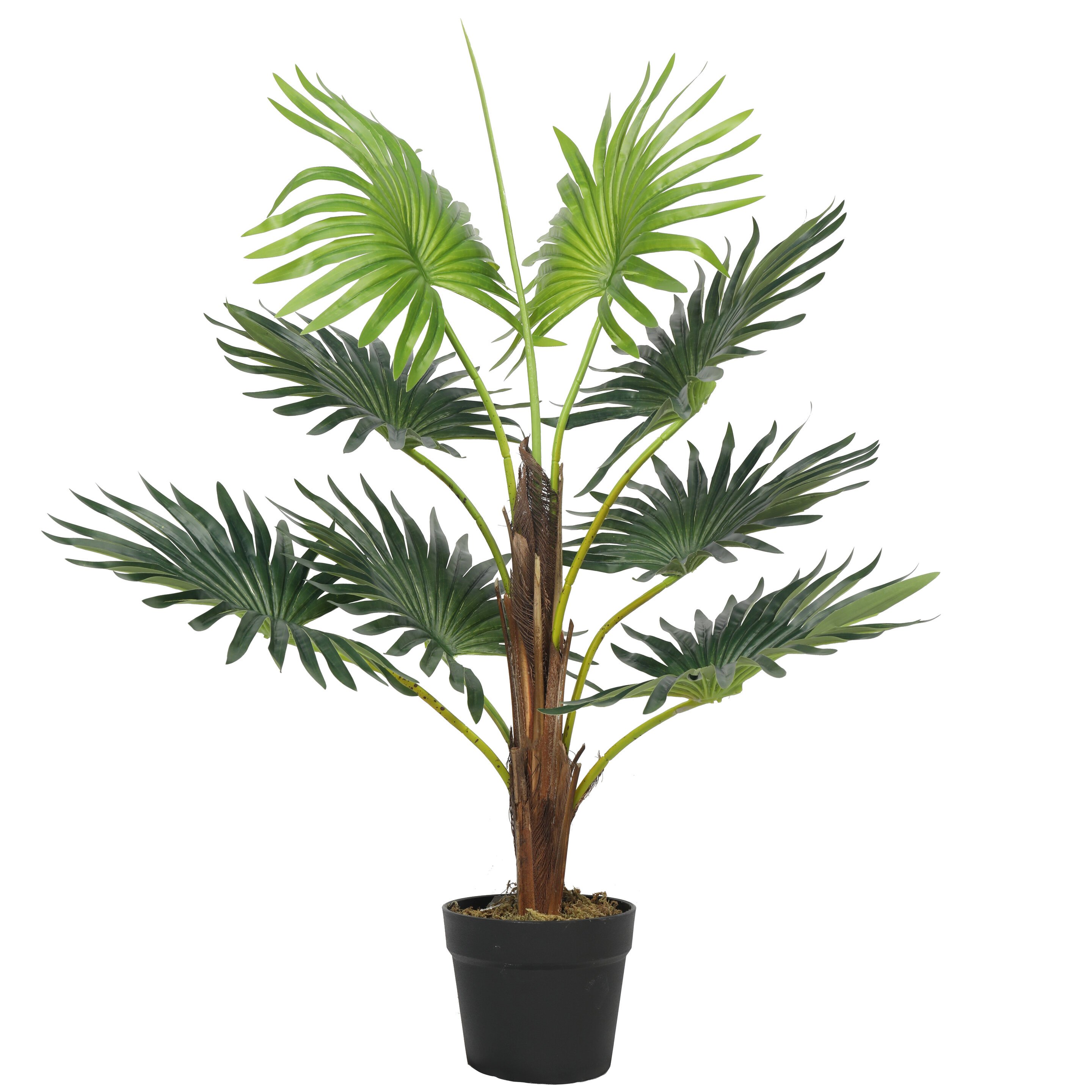 Livistona mini palmera artificial 65 cm