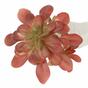 Loto artificial suculenta 17 cm