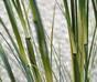 Manojo artificial de hierba de bambú en maceta 80 cm