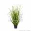 Manojo de césped artificial Caña común en maceta 60 cm