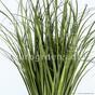 Manojo de hierba ranurado artificial Caña común 80 cm