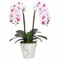 Orquídea Artificial 43 cm