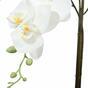 Orquídea artificial blanca 65 cm