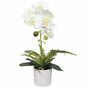 Orquídea artificial blanca con helecho 37 cm