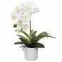 Orquídea artificial blanca con helecho 37 cm