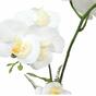 Orquídea artificial blanca con helecho 43 cm