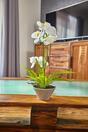 Orquídea artificial blanca con helecho 43 cm