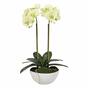 Orquídea verde claro artificial 50 cm