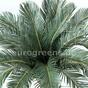 Palma artificial Cycas 90 cm