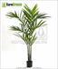 Palma artificial Kentia 170 cm