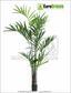 Palma artificial Kentia 240 cm