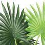Palma artificial Livistona mini 160 cm
