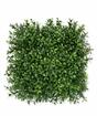 Panel artificial Buxus - 25x25 cm