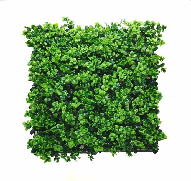 Panel artificial Pachysandra - 50x50 cm