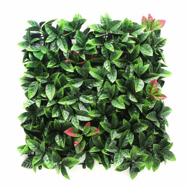 Panel artificial Photinia - 50x50 cm