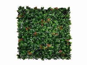Panel de hojas artificiales Photinia - 50x50 cm