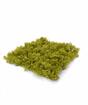 Panel de musgo verde artificial - 25x25 cm