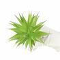 Planta artificial Agave verde 18 cm
