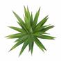 Planta artificial Agave verde 20 cm
