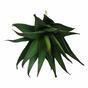 Planta artificial Aloe 13,5 cm