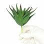 Planta artificial Aloe 13,5 cm