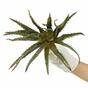 Planta artificial Aloe 27 cm