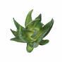 Planta artificial Aloe Vera 15 cm